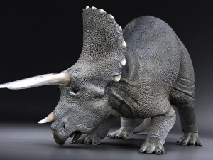 Triceratopo Modello 3D