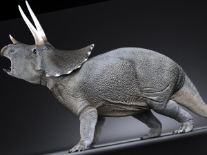 Triceratops 3D मॉडल