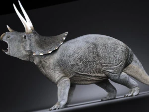 Triceratopo Modello 3D