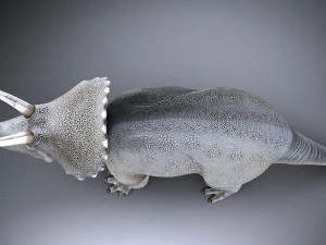 Triceratopo Modello 3D