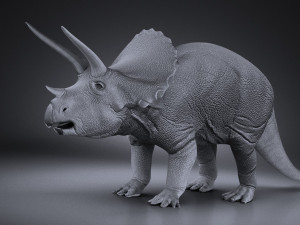 Triceratops 3D मॉडल