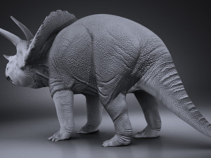 Triceratops 3D मॉडल