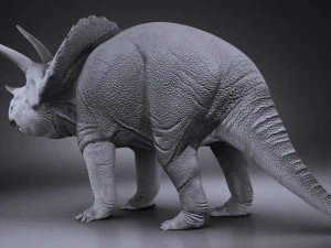 Triceratopo Modello 3D