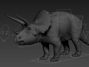 Triceratops 3D मॉडल