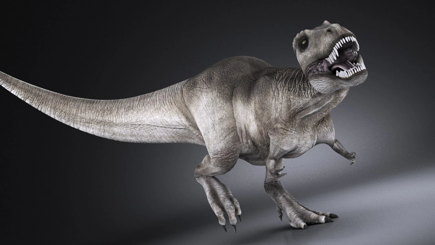 Tyrannosaurus Rex 3D Model .c4d .max .obj .3ds .fbx .stl .blend 
