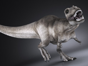 Tyranosaurus Rex 3D Model
