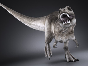 Tyranosaurus Rex Model 3D