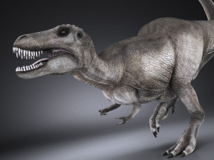 Tyranosaurus Rex Model 3D