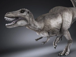 Tyrannosaurus Rex 3D Model