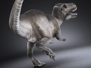 Tyranosaurus Rex Model 3D