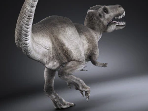 Tyrannosaurus Rex 3D Model