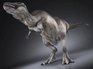 Tyrannosaurus Rex 3D Model