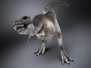 Tyrannosaurus Rex 3D Model