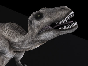 Tyranosaurus Rex Model 3D