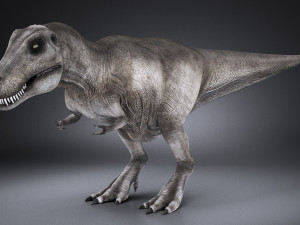 Tyranosaurus Rex Model 3D