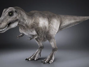 Tyrannosaurus Rex 3D Model