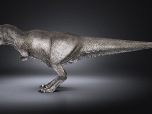 Tyranosaurus Rex Model 3D