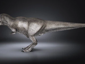 Tyrannosaurus Rex 3D Model