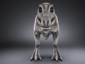 Tyranosaurus Rex Model 3D