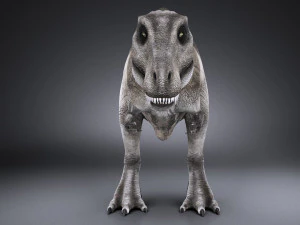 Tyrannosaurus Rex 3D Model