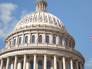 United States Capitol 3Dモデル