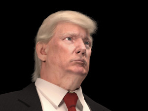 Donald Trump 3D Model