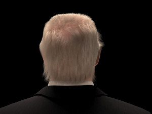 Donald Trump 3D Model