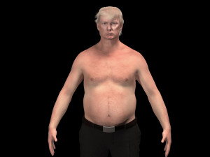 Donald Trump 3D Model