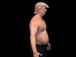 Donald Trump 3D Model