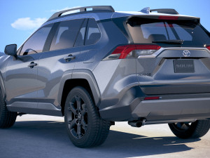Toyota RAV4 TRD Offroad 2020 3D Model