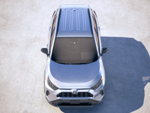 Toyota RAV4 LE 2019 Modello 3D