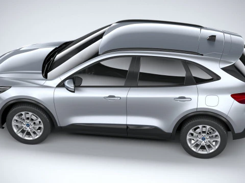 Kuga Basic 2025 3D Model