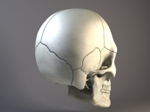Man Skull 3D Model