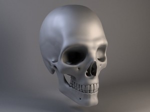 Man Skull 3D Model