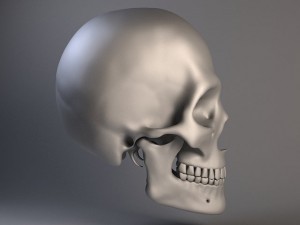 Man Skull 3D Model