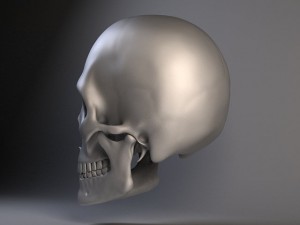 Man Skull 3D Model