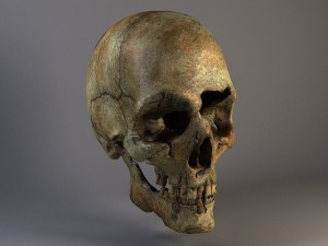 Man Skull Cracked 3D Model