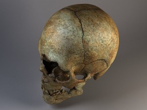 Man Skull Cracked Modèle 3D