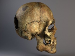 Man Skull Cracked Modèle 3D