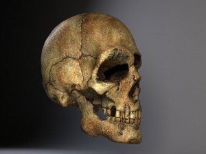Man Skull Cracked Modèle 3D