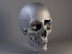 Man Skull Cracked Modèle 3D