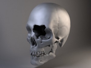 Man Skull Cracked Modèle 3D