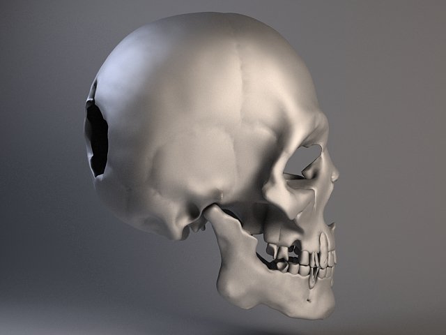 Skull cracking. Skull cracking. Skull cracking. Skull cracked боевая краска. Skull cracking.