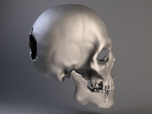 Man Skull Cracked Modèle 3D