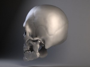 Man Skull Cracked Modèle 3D