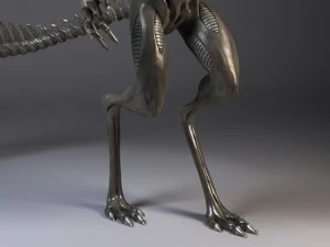 Alien Xenomorph rigged 3D Model