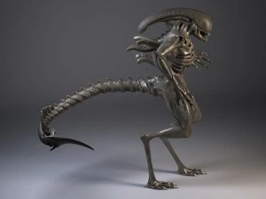 Alien Xenomorph rigged 3D Model
