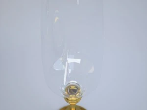 zepter champagne glass 3D Model