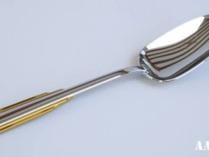 zepter yemek kaşığı 3D Model