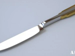 zepter table knife 3D Model